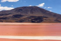 Bolivie, Laguna Canapa, paysage de montagnes pittoresques avec au bord du lac avec flamongos — Photo de stock