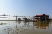 Myanmar (Burma), Shan, Taunggyi, boat trip on the Inle Lake, wooden constructions and hut by the water — Stock Photo