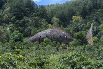 Indonesia, Sumatera Utara, Kabodaten Samosir, death house in forest — Stock Photo