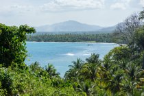 Indonesien, Maluku Utara, Kabupaten Halmahera Utara, Blick durch Palmen auf das Meer am nördlichen Molikken — Stockfoto
