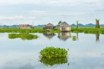 Indonesia, Sulawesi Selatan, Kabupaten Soppeng, capanne sull'acqua, lago Danau Tempe — Foto stock
