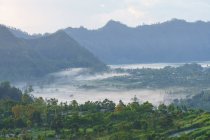 Indonesia, Bali, Kabu Bangli, mist over fields at the volcano Batur — Stock Photo