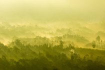 Индонезия, Бали, Каблиац Бангли, Вид на вулкан Батур, солнечные лучи и туманные ветры над лесом — стоковое фото