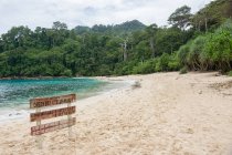Indonesia, Java Timur, Kabany Banyuwangi, Parque Nacional Meru Betiri, selva en la playa solitaria en la playa - foto de stock