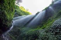 Индонезия, Java Timur, Pasuro, Air Terjun Madakaripura, вид снизу на водопад — стоковое фото
