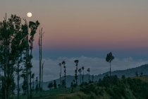 Індонезія, Тимур Java, Probolinggo, повний місяць над хмарами на бром вулкан — стокове фото