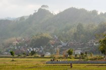Indonesia, Sulawesi Selatan, Toraja Utara, tombe in lontananza — Foto stock