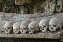 Indonesia, Sulawesi Selatan, Toraja Utara, Torajaland, cráneo y huesos cruzados, tumbas de roca, culto a la muerte - foto de stock