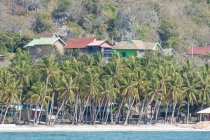 Indonesia, Sulawesi Selatan, Bulukumba, Playa de palma tropical vista Bira - foto de stock
