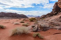 Jordania, Aqaba Gouvernement, Wadi Rum, Wadi Rum es una meseta alta del desierto en el sur de Jordania. Paisaje escénico del desierto con hummocas de hierba - foto de stock