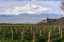 Armenia, Provincia di Ararat, Il monastero, sullo sfondo dell'Ararat, è un simbolo nazionale dell'Armenia — Foto stock