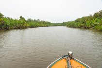 Indonesia, Kalimantan, Borneo, Kotawaringin Barat, Sulle vie navigabili di Kotawaringin Barat sul Kalimantan, sul fiume Sekonyer — Foto stock