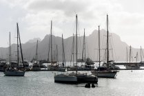Cape verde, sao vicente, mindelo, festgemachte Boote im Hafen bei sonnigem Tageslicht — Stockfoto