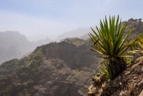 Cap Vert, Santo Antao, Caibros de Ribeira de Jorge, île de Santo Antao à la péninsule du Cap Vert — Photo de stock
