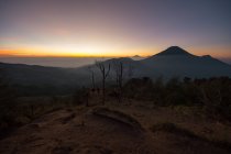 Индонезия, Java Tengah, Wonosobo, Пейзаж с вулканом Синдоро на восходе солнца справа — стоковое фото