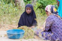 Tanzania, Zanzíbar, Isla de Pemba, mujeres con clavel en la aldea - foto de stock