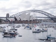 Australia, Sydney, Port and Opera House — Stock Photo