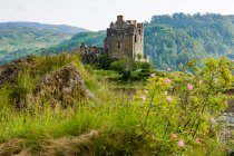 Reino Unido, Escocia, Highland, Dornie, Loch Duich, Eilean Donan Castillo en paisaje verde - foto de stock