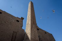 Egypt, Luxor Gouvernement, Luxor, Luxor Temple skyward view — Stock Photo
