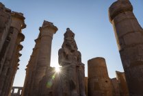 Egitto, Luxor Gouvernement, Luxor, Tempio di Luxor, Patrimonio dell'Umanità UNESCO — Foto stock