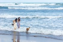 Две молодые женщины, гуляющие в воде с собакой на пляже Бату Болонг, Кабудатен-Бадунг, Бали, Индонезия — стоковое фото