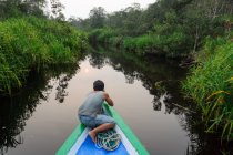 Indonésie, Kalimantan, Bornéo, Kotawaringin Barat, homme nageant en bateau sur la rivière Sekonyer — Photo de stock