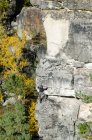 Germany, Saxony, Saxon Switzerland, climbing tour on Hirschgrundkegel, climber at neighboring rock, Vorderer Hirschgrundturm — Stock Photo