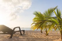 Jamaica, negril, erstes mal entspannen, liegestuhl am sandstrand in jamaica — Stockfoto