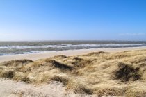 Germany, Schleswig-Holstein, Sylt, List, Grassy and sandy seashore view — Stock Photo