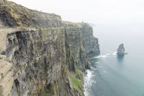 Irlanda, County Clare, Cliffs of Moher, Rostos de rocha íngremes junto ao mar — Fotografia de Stock