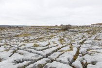 Irlanda, Contea di Clare, pavimento in pietra con fessure, Poulnabrone Dolmen — Foto stock