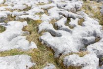 Irlande, comté de Clare, sol en pierre mélangée, Poulnabrone Dolmen — Photo de stock