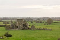 Irlanda, Tipperary, ruinas del monasterio en la naturaleza verde, Abadía de Hore en Cashel, Tipperary del Sur - foto de stock