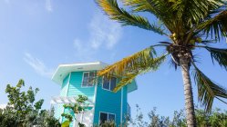 Bahamas, Gran Exuma, Staniel Cay, palmera frente a la casa azul - foto de stock