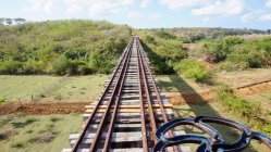 Куба, Sancti Spiritus, Manaca Iznaga, долина сахарных заводов, с поездом через природу — стоковое фото