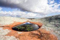 Australia, Australia Meridional, Minnipa, pequeño estanque incrustado en la montaña de la isla, roca rojiza / blanca, nenúfares en el estanque - foto de stock