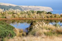 Nuova Zelanda, Canterbury, Akaroa, serbatoio di acqua naturale, tutto intorno canna e altre erbe, sullo sfondo un punto di riferimento e il mare — Foto stock