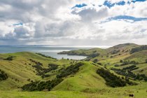 Neuseeland, Waikato, Manaia, grüne Hügellandschaft am Meer — Stockfoto