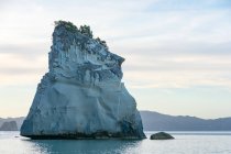 Nueva Zelanda, Waikato, Península de Coromandel, acantilados de piedra caliza junto a la bahía de Cathedral Cove, Cathedral Cove, Hahei - foto de stock