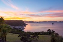 Nova Zelândia, Waikato, Hahei, paisagem marinha panorâmica com costa verde ao pôr do sol — Fotografia de Stock