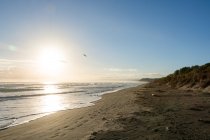 Nueva Zelanda, Gisborne, Pouawa, Playa solitaria bajo el sol de la tarde - foto de stock