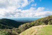 Новая Зеландия, Таранаки, Национальный парк Эгмонт, вид на национальный парк Эгмонт, лес на прибрежных горах — стоковое фото