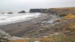 Низкий прилив на пляже с черным песком со скалами, Исландия — стоковое фото