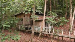 Malasia, Sarawak, Lubok Antu, Borneo, cabaña de madera en el Parque Nacional Batang Ai - foto de stock