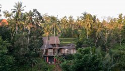 Indonesia, Bali, Kabudaten Gianyar, Guesthouse between palm trees in Ubud — Stock Photo