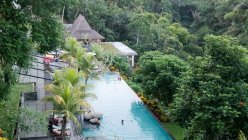 Indonesia, Bali, Kabedaten Gianyar, Peces de la selva - foto de stock