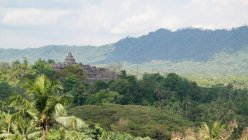 Indonésie, Jawa Tengah, Magelang, Temple Borobudur parmi les forêts — Photo de stock