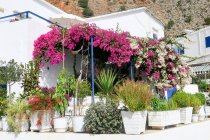 Griechenland, Beton, Lutro, Blumen und grüne Pflanzen in Töpfen — Stockfoto