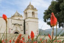 Peru, arequipa, yanque, kloster im colca-tal, rote blumen im Vordergrund — Stockfoto