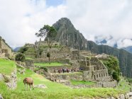 Perú, Cuzco, Urubamba, Machu Picchu - foto de stock
